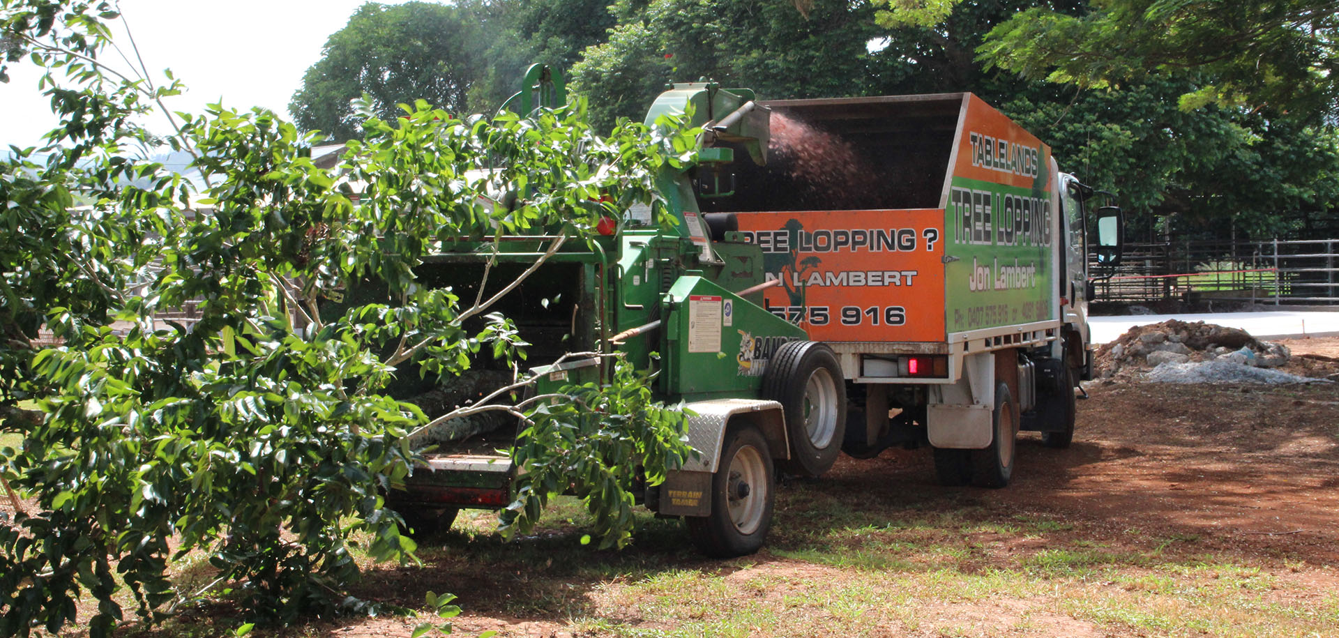 tree removal and lopping