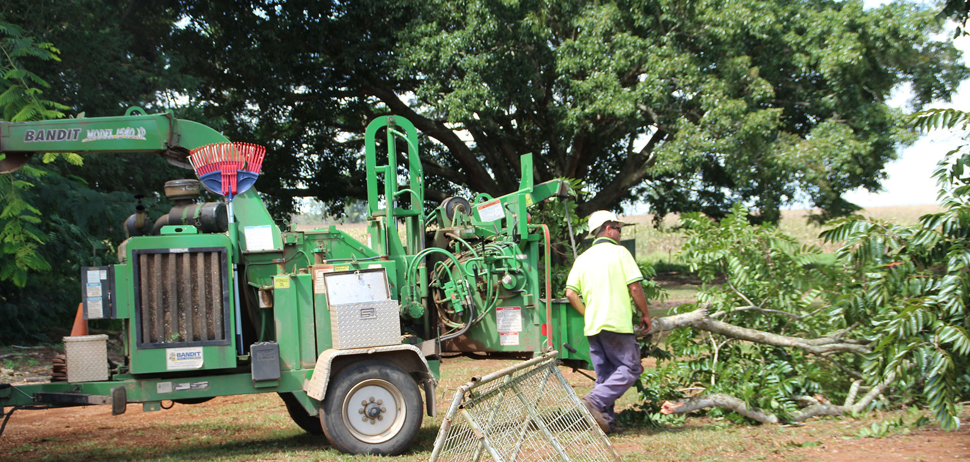 Atherton Tablelands tree services