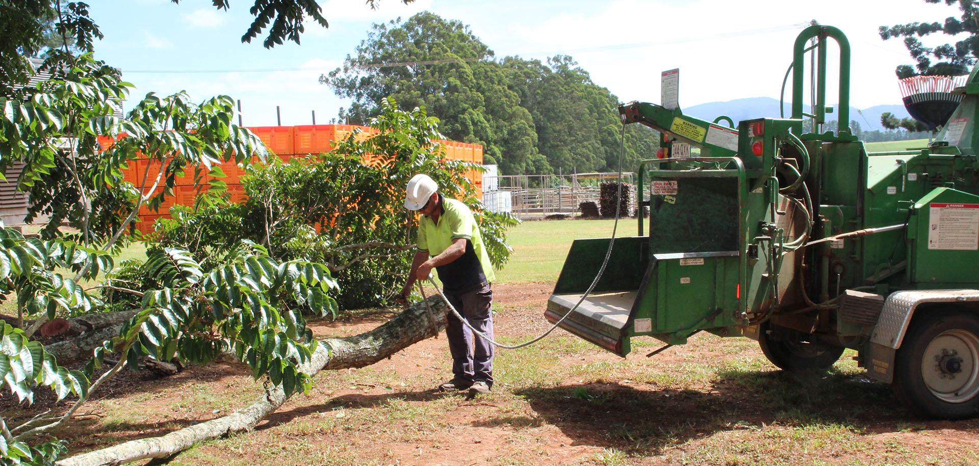 professional tree services Atherton
